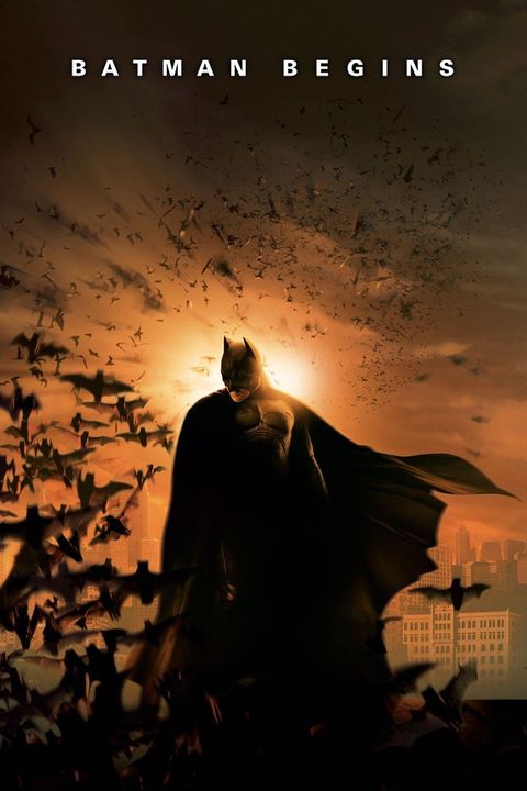 Batman Begins Dvd